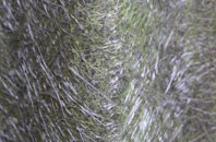 Walton East fibreglass roof work